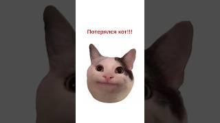 Минутка юмора . Кошки юмор #юморскошками #котики #кошаки
