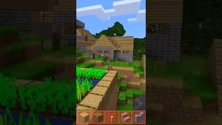 Most popular Minecraft house #viral #minecraft #shorts