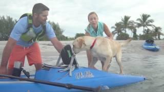Perception Kayaks | Hi Life Overview