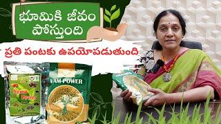 Nema Power - EPN, VAM Power - VAM Good Nematodes For Soil Insect Pests | AgriTech Telugu