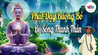 Nghe Phật Dạy Tập Buông Bỏ Để Sống Thanh Thản, Nhẹ Nhàng Hơn - Audio Thanh Tịnh Tâm