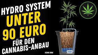 Kann man ein Hydroponik-System für den Cannabisanbau unter 90 Euro bekommen und funktioniert es?