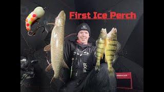 Perch Fishing Lake Couchiching (December 23 2024)