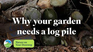 Why your garden needs a log pile | RSPB Nature on Your Doorstep