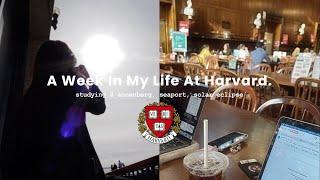 (kor/eng) harvard vlog | studying, yard fest, seaport 하버드 브이로그