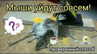 Мыши уйдут сами! The mice will leave by themselves.  Проверенный способ.