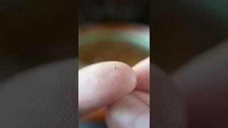 Smallest spinning top in the world! #mini #miniature #unboxing #guinessrecords