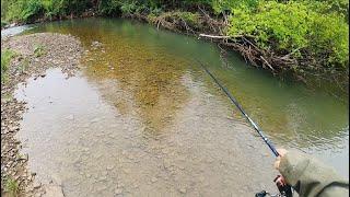 TROUT FISHING Tips, Tricks & Tactics To Catch Big Trout In Little Streams #fishing #fish #trout