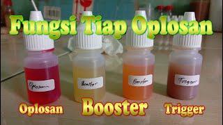 Oplosan Booster Trigger essence function for carp fishing