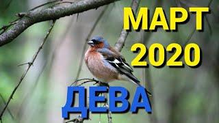 ДЕВА. САМЫЕ ВАЖНЫЕ И ГЛАВНЫЕ СОБЫТИЯ МАРТА 2020г. ТАРО ПРОГНОЗ ДЛЯ ДЕВ. Онлайн гадание.