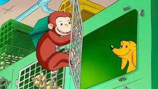 Free Hundley Curious George  Kids CartoonKids MoviesVideos for Kids