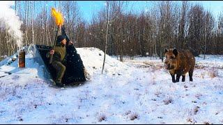 Building of a winter shelter in the forest