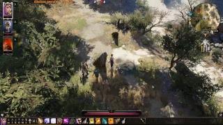 Divinity: Original Sin 2 #0  тест.. не удался...