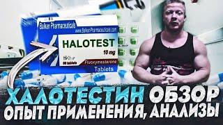 Халотестин обзор опыт применения анализы (перезалив)