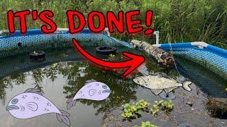 My Pool Pond Ecosystem Collapsed! (Did My Fish Survive???)