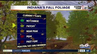 Indiana's Fall Foliage Forecast