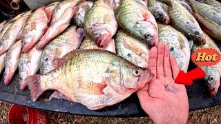 Winter Crappie Fishing With TINY HAIR JIGS!