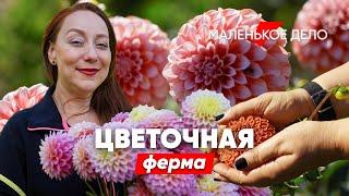 Как заработать на цветочной грядке? Монолог владелицы фермы