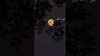kabhi din ko dhaltay dak jakay #shorts #shortvideo #viralvideo #shortsfeed #aesthetic