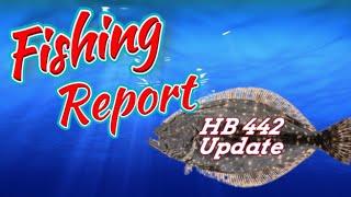 North Carolina Saltwater Fishing Report And HB442 Update.