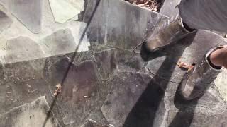How To Pressure Wash - Greenworks 1600 psi