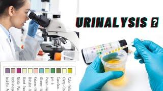 Laboratory urine analysis test ( urinalysis )