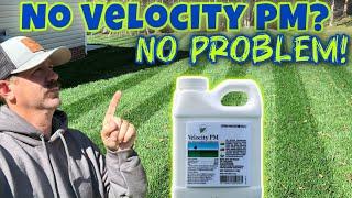 Is Velocity PM Needed For A Nice Lawn?