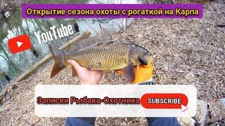 Открытие сезона охоты с рогаткой на КАРПА #охотасрогаткой #top #headshot #сазан#карп
