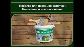 Побелка для деревьев Bitumast. Нанесение и использование.