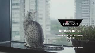 Сухой корм для котов Purina Pro Plan Sterilised с лососем 10 кг