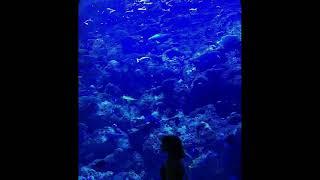 [FREE] PARTYNEXTDOOR X 6LACK Type Beat 2021 - "earthh" (Prod. by yumeboii)