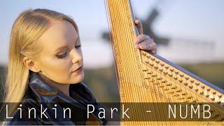 Linkin Park - Numb | Bandura and Accordion Cover