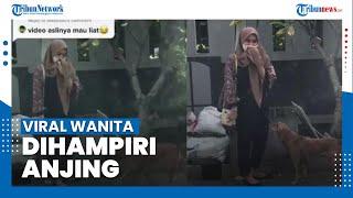 Viral Seorang Wanita Pasrah Dihampiri oleh Anjing, Pernah Mengejar Semasa SMA Dulu