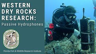 Western Dry Rocks Research: Passive Acoustic Hydrophones