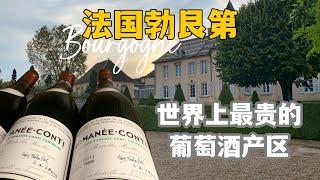 法国葡萄酒你需要知道！｜世界最贵产区什么样？｜来勃艮第传统菜？｜走进世界最贵酒村沃恩罗曼尼