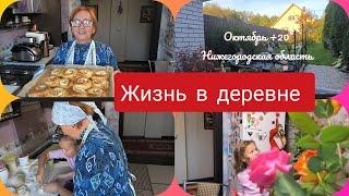 Жизнь в деревне.Хроника дня. 3 октября +20* Погулять успели ,и ватрушек с внучкой испечь .Влог.