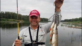 #fishing Ловля на вертушки на Десне: практическое применение на течении с Дмитрием Корзенковым.