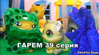 LPS: Гарем 39 серия (Конец)