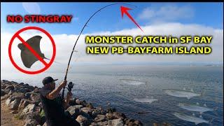 Linking Up On A MONSTER P.B. At Bayfarm Island! #california #bayarea #fishing #fun #bigfish #fish