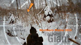 I spent 4 days tracking the BIGGEST buck I've EVER seen! A true Maine Giant! 