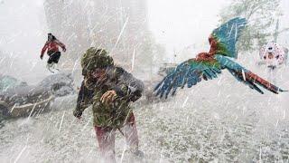 2 minutes ago! Spain closes all highways! Hailstorm the size of large stones in the capital!