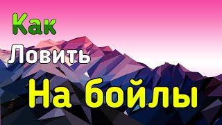 Как ловить на бойлы в рр4// использование волосяной оснастки в рр4