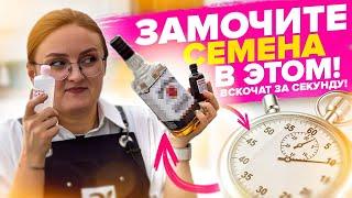 У ВАС ВЗОЙДУТ ЛЮБЫЕ СЕМЕНА если знать ЭТО! Стимуляторы роста для семян, замачивание семян