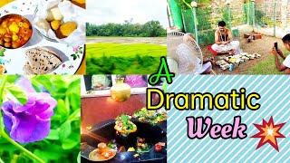 A Dramatic Week/ A week in review/ NINI & JIYA VLOGS