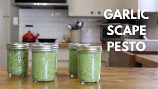 Garlic Scape Pesto for the Freezer | Preserving the Harvest