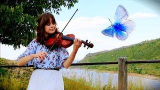 Butterfly + Kid on the Mountain ~ Irish Fiddle Tunes! | Katy Adelson