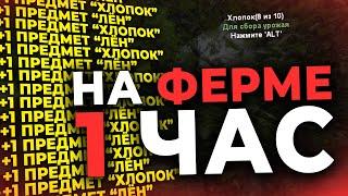 СКОЛЬКО МОЖНО ЗАРАБОТАТЬ ЗА 1 ЧАС НА НОВОЙ ФЕРМЕ ХЛОПКА И ЛЬНА НА РОДИНА РП В GTA CRMP | RODINA RP