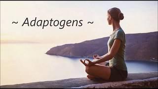 Adaptogens How Do They Work