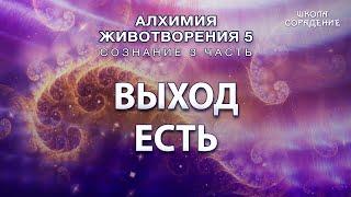 Выход есть #Гарат #Сознание3 #Алхимияживотворения #ЖивыеСеминары #школаСорадение