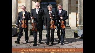 Bayreuth-Festival-Violinquartett - Ah! Vous dirai-je, Maman, Variations for Four Violins, Op. 16...